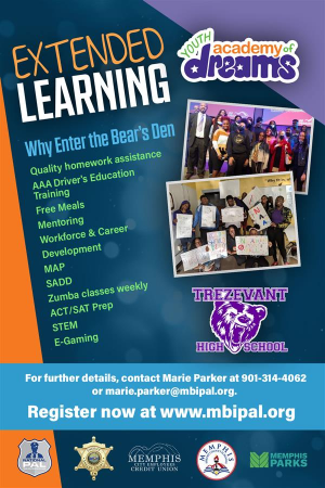 Extended Learning Flyer